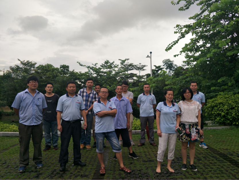 激情”樂跑“，相約月荷湖