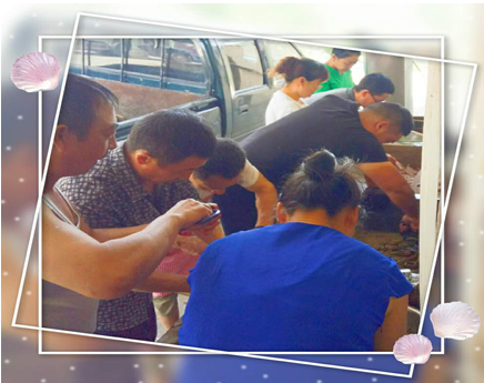 貴陽(yáng)烏當(dāng)公司“濃情粽意”過(guò)端午