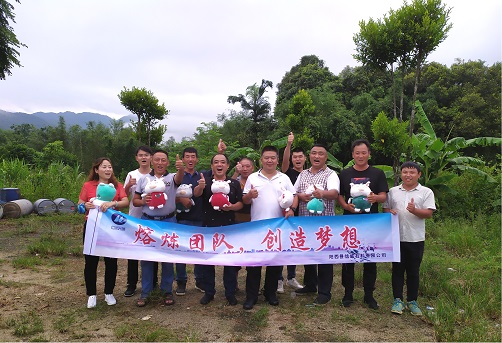 熔煉團(tuán)隊，創(chuàng)造夢想