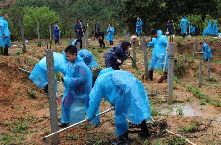 集團組織開展“我與小樹同成長”植樹節(jié)活動-