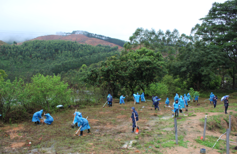 集團組織開展“我與小樹同成長”植樹節(jié)活動-
